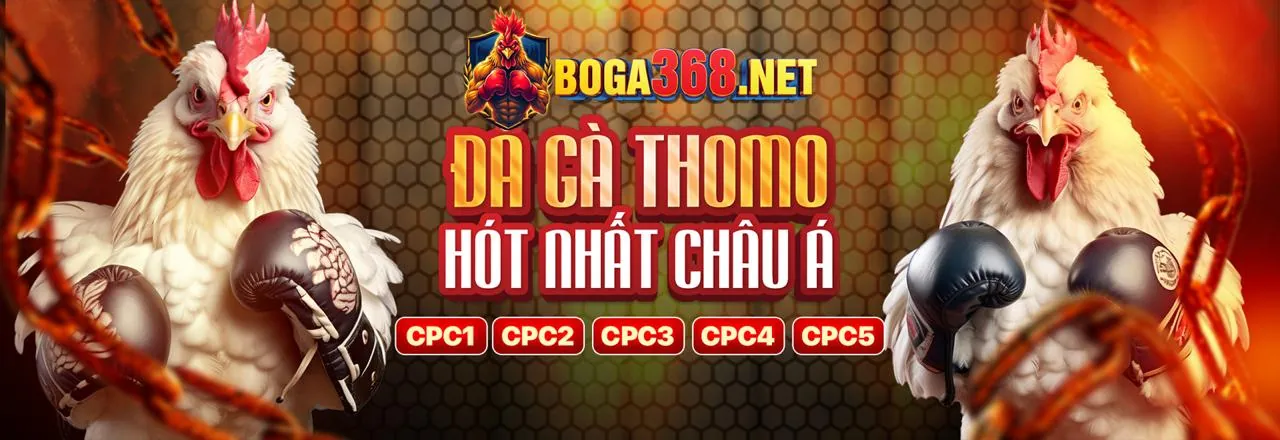 Khuyến mãi đá gà WM Casino